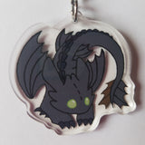 How to Train Your Dragon Charms